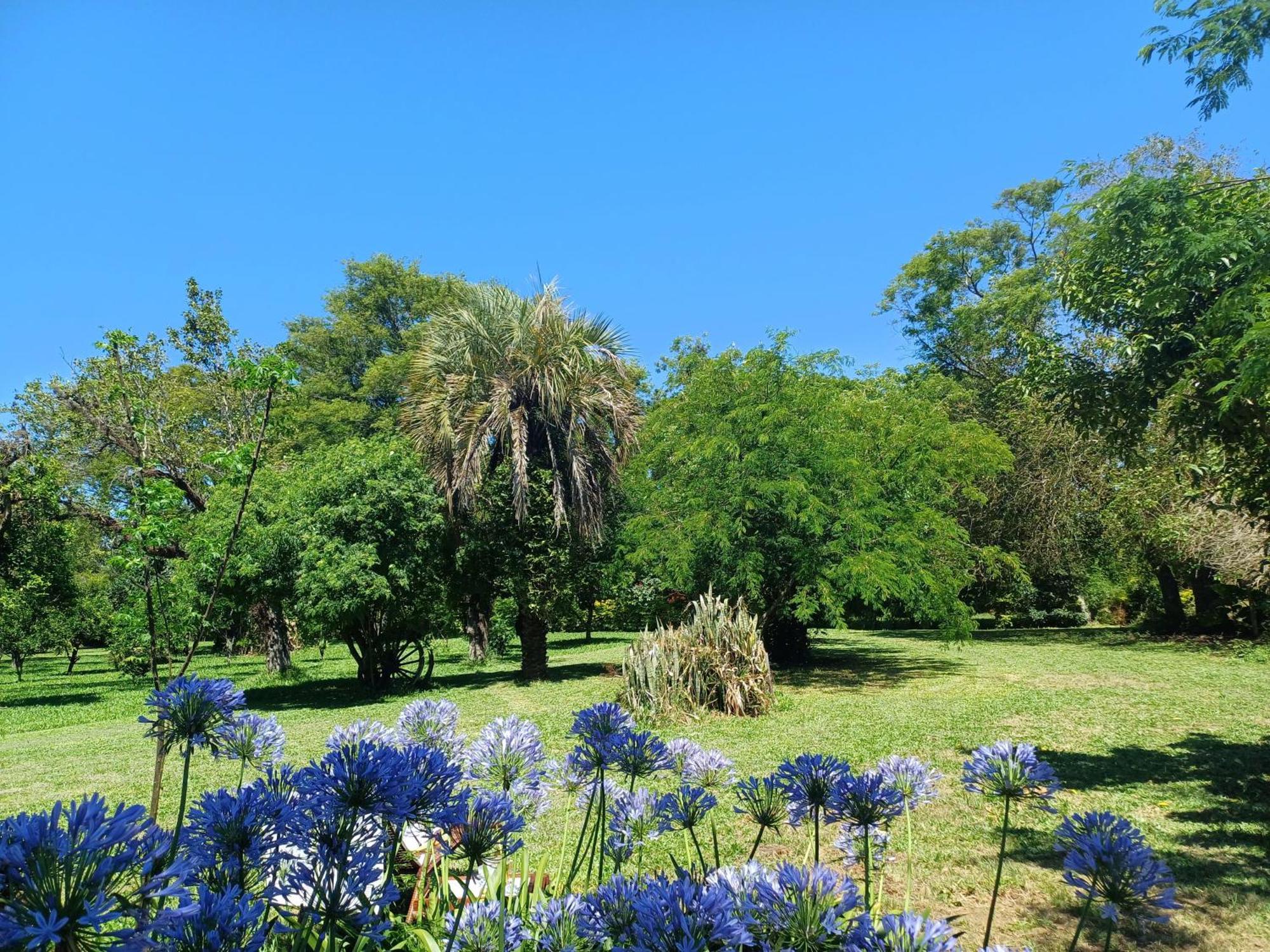 Chacara Rosa Cortiana Bed and Breakfast São Gabriel Buitenkant foto